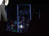 ny 002.jpg (64192 bytes)